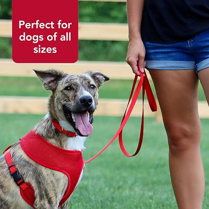 Coastal Pet Single-Ply Dog Leash - Sturdy Pet Leash - Comfortable & Stylish - Resists Fraying - Vibrant & Fade-Resistant Color - Pink Bright, 1" x 6'