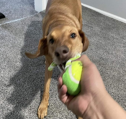 2-Piece Dog Training Toy, Cotton Rope, Tug Ball, Tough Non-Toxic Dog Toys for Big & Small Dogs