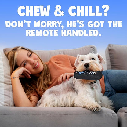 Remote Control Parody Dog Toy – Funny Crinkle & Squeaky Dog Toys for Interactive Play and Training – Durable, Easy to Clean, Birthday Gifts for Small, Medium and Large Dogs