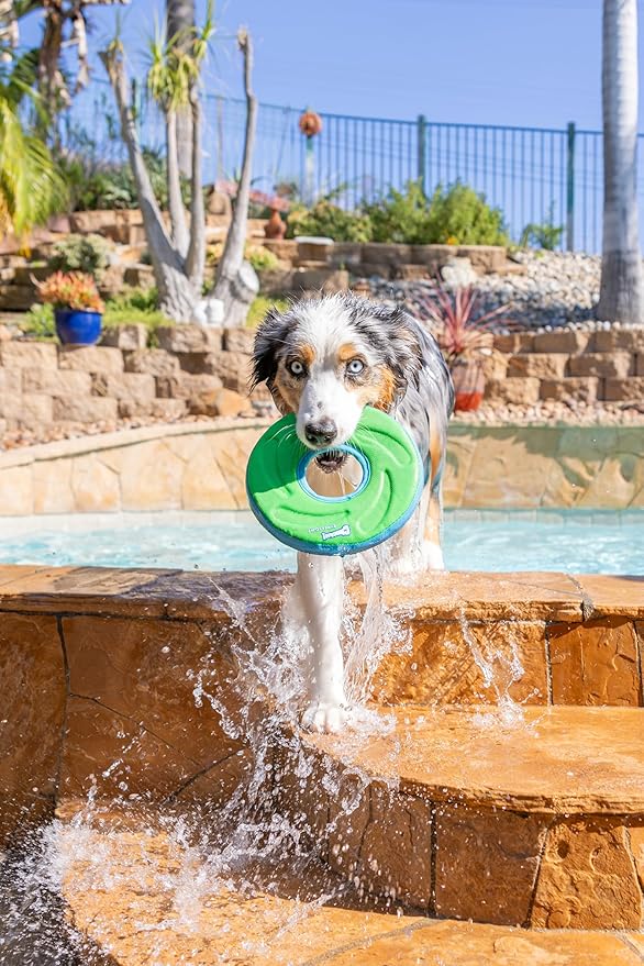 Chuckit! Amphibious ZipFlight Floating and Flying Disc Dog Toy, Medium (8.5"), Assorted Colors (Orange And Blue/Green and Blue)