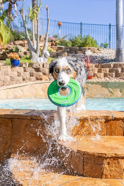 Chuckit! Amphibious ZipFlight Floating and Flying Disc Dog Toy, Medium (8.5"), Assorted Colors (Orange And Blue/Green and Blue)