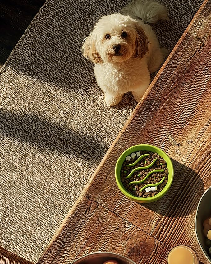 Ceramic Slow Feeder Dog Bowls for Small Dogs, 0.6 Cup Dog Slow Feeder for Fast Eater, Puzzle Maze Bowl, 14oz, 6in, Lime Green
