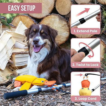 Flirt Pole for Dogs Heavy Duty - Multi-Sensory Tough Chase Toy for Medium & Large Breeds – Extra Strong 35" Dog Teaser Wand for Backyard Play, Training and Interactive Fun (Duck)