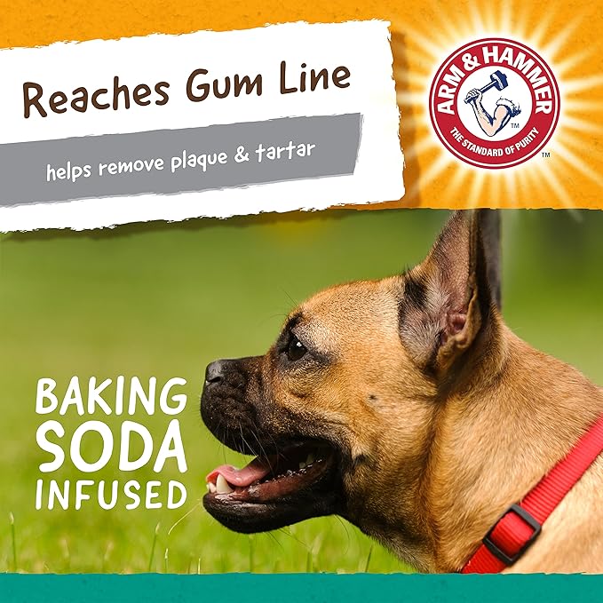Arm & Hammer Nubbies T-Bone Dental Dog Chew Toy with Peanut Butter Flavor, Textured Chew Toy Designed to Help Clean Teeth and Support Oral Care for Dogs Up to 35 lbs