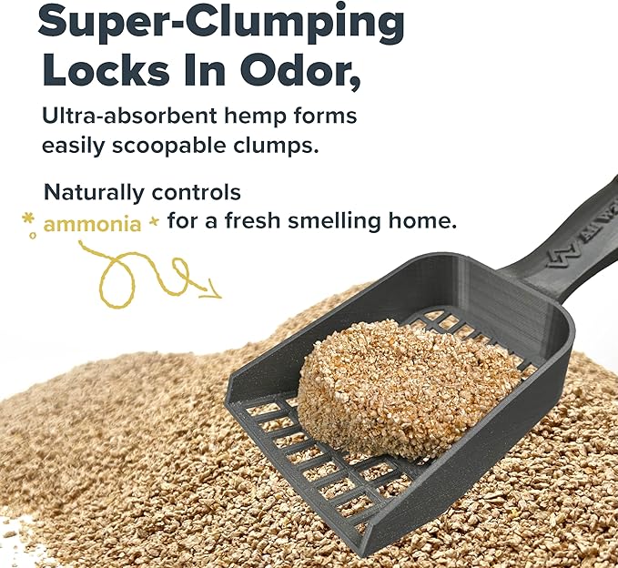 All Walks Plant Based Hemp Kitty Litter | 10 lb Bag | Super Clumping | Fragrance Free Kitty Litter | Odor Control for Cats