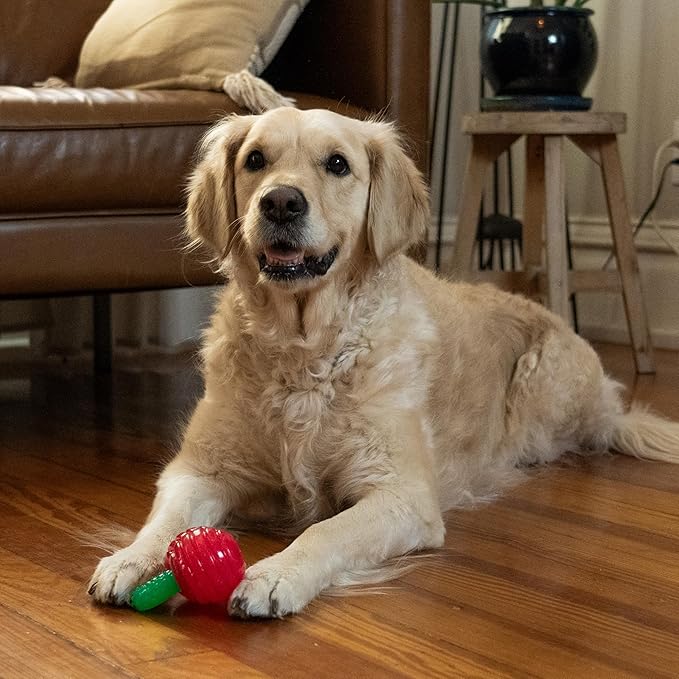 Outward Hound Gummiez Cherries Dog Toy & Treat Stuffer, 4″ x 4″ Cherry-Scent Interactive Chew for Dogs, Promote Healthy Teeth, Gums & Mental Enrichment, Reduce Boredom & Support Dental Health
