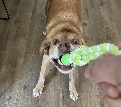 2-Piece Dog Training Toy, Cotton Rope, Tug Ball, Tough Non-Toxic Dog Toys for Big & Small Dogs