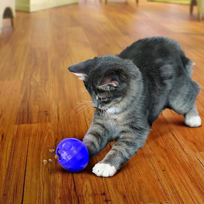 KONG Active Treat Ball Toy for Cats