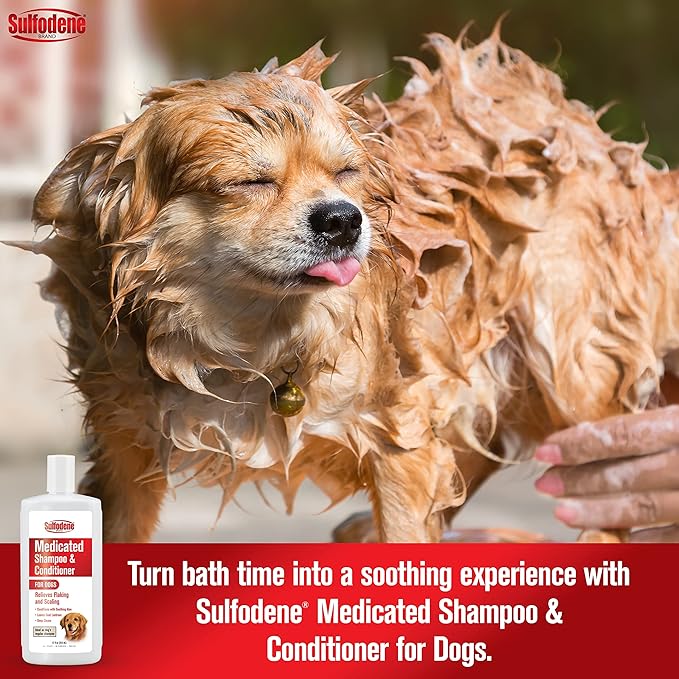 Sulfodene Medicated Shampoo & Conditioner for Dogs 12oz (Pack of 2)