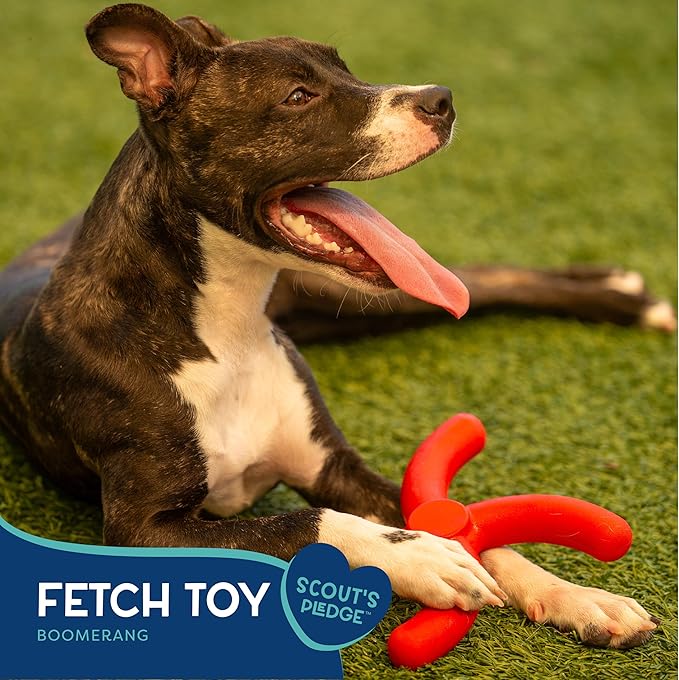 Good Scout Boomerang Dog Toy for Tugging & Chewing, Best Fetch Toy for Aggressive Chewers, Medium & Large Dogs
