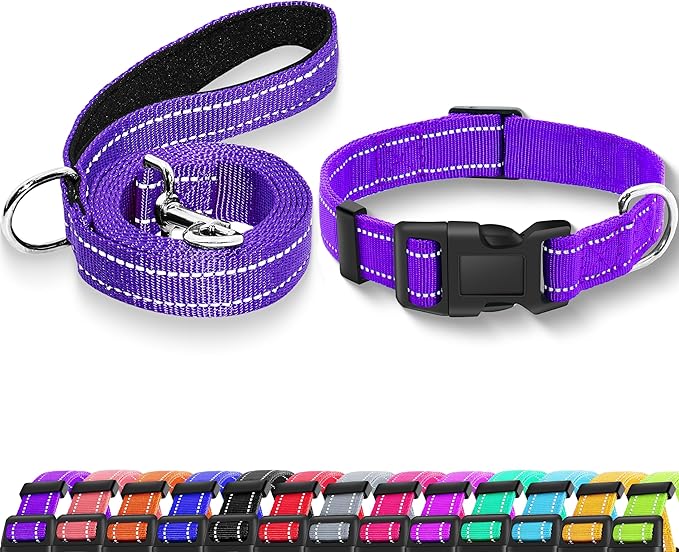 Reflective Dog Collar with Safety Locking Buckle, Adjustable Soft Breathable Nylon Collars for Small, Medium and Large Dogs(Collar+Leash XS Width 3/8" Purple)