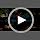 PetBonus Rope Double Dog Leash, No Tangle Dual Leash for Walking Two Dogs - Image 7