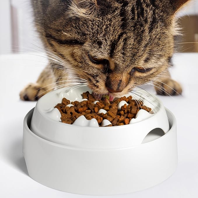 CatGuru Cat Bowls, Whisker Friendly Food Bowl for Indoor Cats, Reliefs Whisker Fatigue, Wide Kitten Dish, Non Slip Pet Dishes, Shallow Pet Plates (Marshmallow, (Pack of 2))