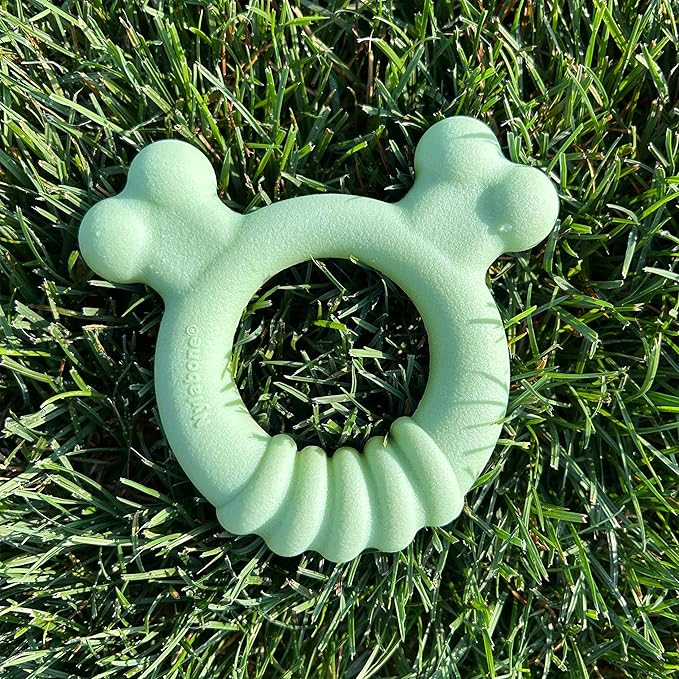 Nylabone Sensory Material Soothing Puppy Chew Toy Ring, Toys for Teething Puppies, Chicken Flavor, Small - Up to 25 lbs, 1 Count