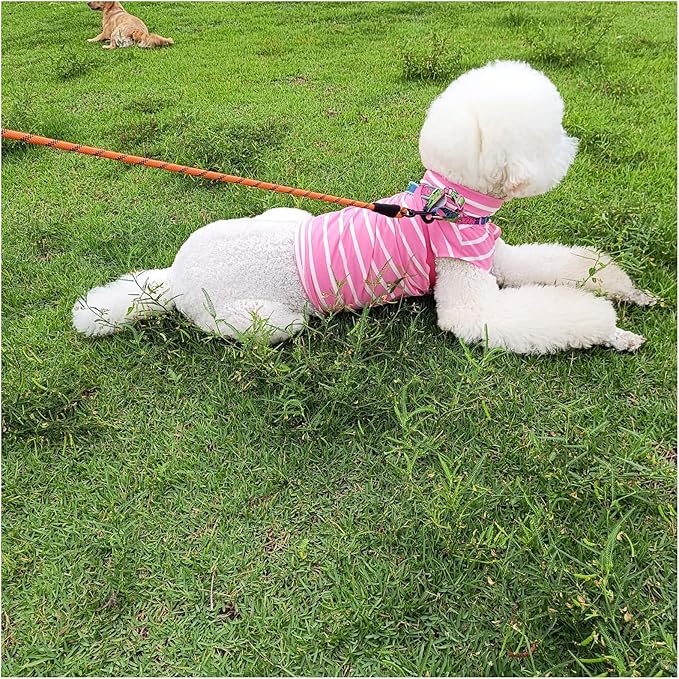 MayPaw 6FT Heavy Duty Rope Dog Leash, Soft Padded Handle Nylon Pet Leash, Thick Lead Leashes for Large Medium Dogs Walking Training (Orange Black, 1/2" * 6')