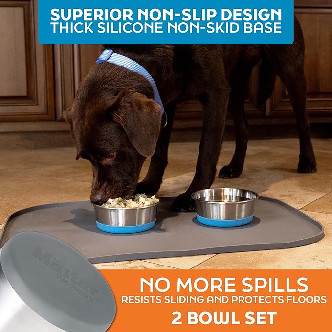 Master Pet Supply Stainless Steel Dog Bowls Set of 2 with Extra Thick Silicone Base - 2 Cup (16 oz) Graphite, Non-Slip, Dishwasher Safe Metal Bowls, Pet Dog Food Bowl for Dogs, Cats, Anti Rust