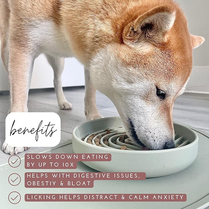 Should We Go? Slow Feeder for Dogs & Puppies, The Slowdown Bowl Silicone Slow Eating, Modern Lick Mat Design, Reduces Gulping, Fits 2 Cups, 7.5” Across x 1.5” Tall, Mealtime Challenge, Medium-Blush