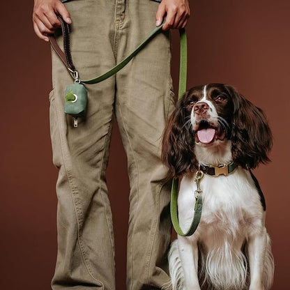 Didog Classic Dog Poop Bag Holder, Easy-Pull and Elegant PU Leather Pet Waste Bag Dispenser for Leash with Carabiner Clip, Includes 1 Roll Dog Waste Bag for Daily Walking,Green