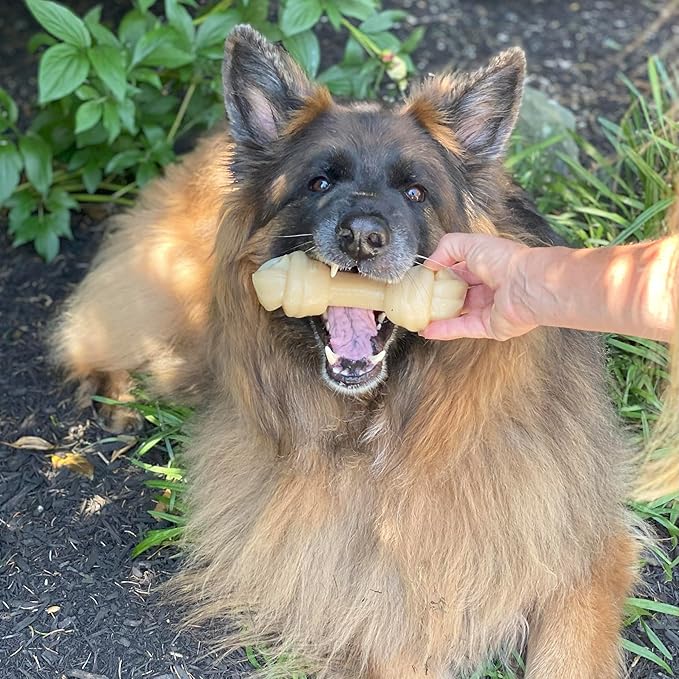 Nylabone Big Chew Mega Knot Bone Power Chew Toy for Large Dogs, Durable Dog Toys for Aggressive Chewers, Destroy Proof Chew Toys To Keep Them Busy, Chicken Flavor, X-Large, 50+ lbs, 1 Count