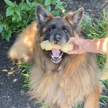 Nylabone Big Chew Mega Knot Bone Power Chew Toy for Large Dogs, Durable Dog Toys for Aggressive Chewers, Destroy Proof Chew Toys To Keep Them Busy, Chicken Flavor, X-Large, 50+ lbs, 1 Count