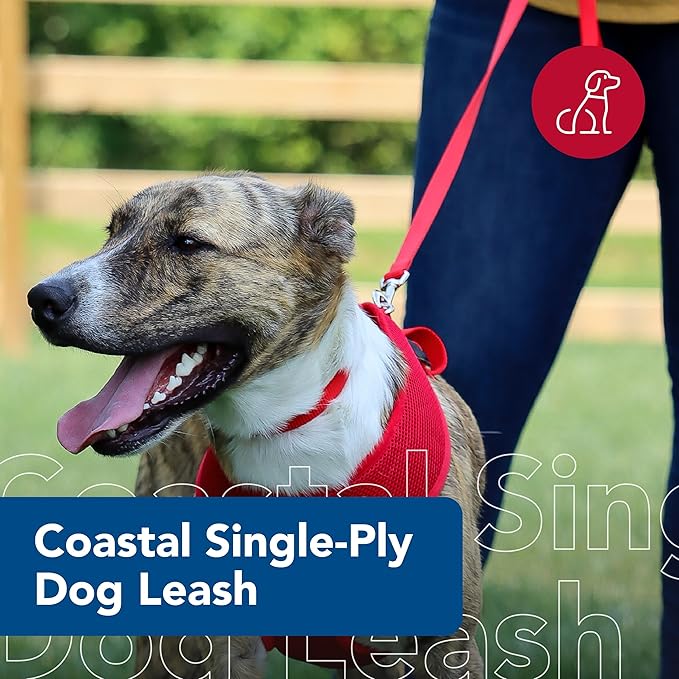 Coastal Pet Single-Ply Dog Leash - Sturdy Pet Leash - Comfortable & Stylish - Resists Fraying - Vibrant & Fade-Resistant Color - Pink Bright, 3/4" x 6'
