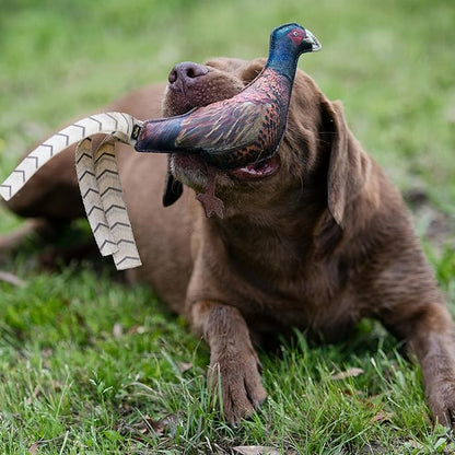 Browning Pheasant Chew Toy Brown (P000015690199)