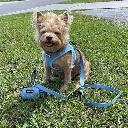 Best Pet Supplies Voyager Reflective Dog Leash or Collar with Neoprene Handle, for Small, Medium, and Large Breed Puppies, Cute and Heavy Duty for Walking, Running and Training - Baby Blue (Leash), M