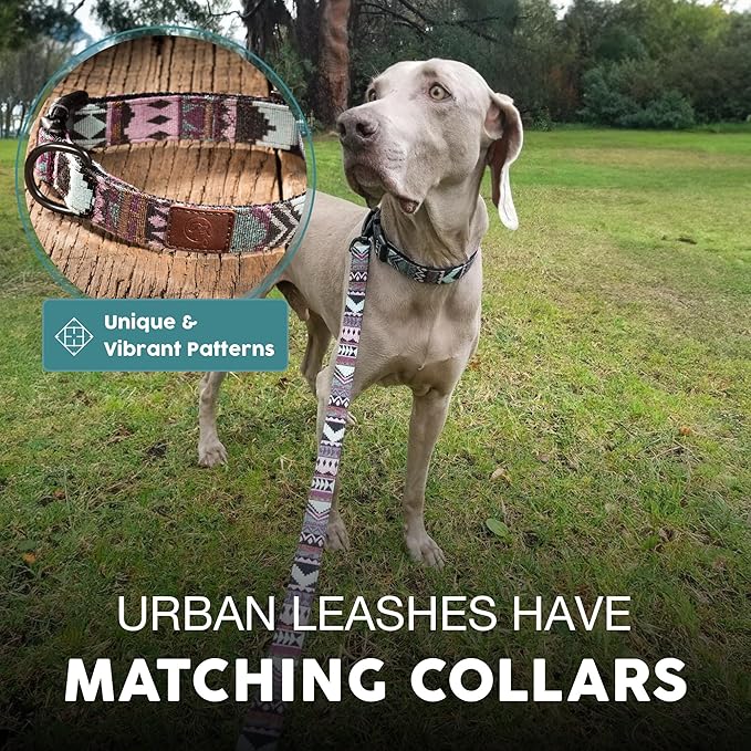 Embark Adventure Dog Leash – Colorful, Strong & Sturdy, 5 Ft, Suitable for Small, Medium & Large Breeds, Aztec