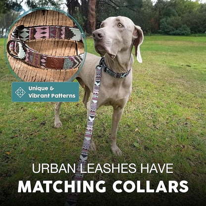 Embark Adventure Dog Leash – Colorful, Strong & Sturdy, 5 Ft, Suitable for Small, Medium & Large Breeds, Aztec