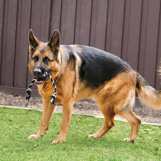 KONG Extreme Ball with Rope - Dog Fetch Toy with Rope for Easy Throwing - Durable Dog Ball Toy for Tug, Playtime & More s Most Durable Natural Rubber - Black - for Large Dogs