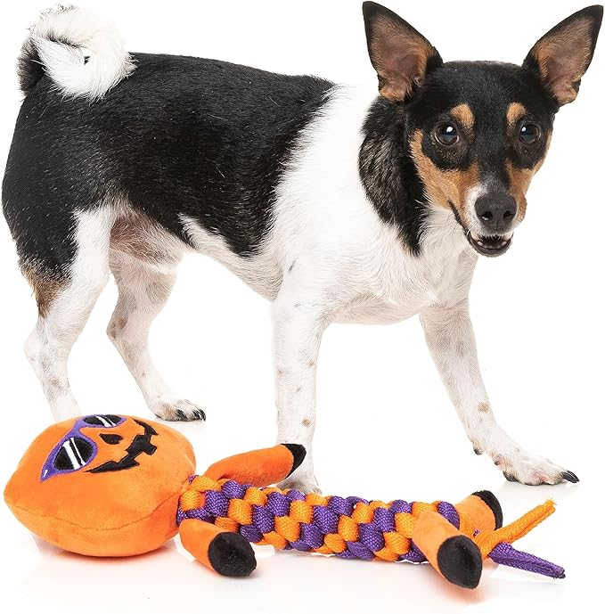 Fuzzyard Gourdan Ramsay Rope Buddy Dog Toy with Pumpkin Head