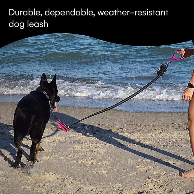 Black Rhino Heavy Duty Dog Leash for Medium and Large Dogs - 6 ft Long Double Handle Leash with Padded Traffic Control Handles and Bag for Comfort - Reflective, Durable, and Weather Resistant (Pink)