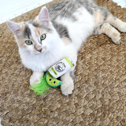 Quirky Kitty Whisker Claw & Lime Catnip Crinkle Plush Cat Toy, Pack of 2 | Soft Plush Toys with Textured Crinkle Sound | Enriched with Premium Catnip