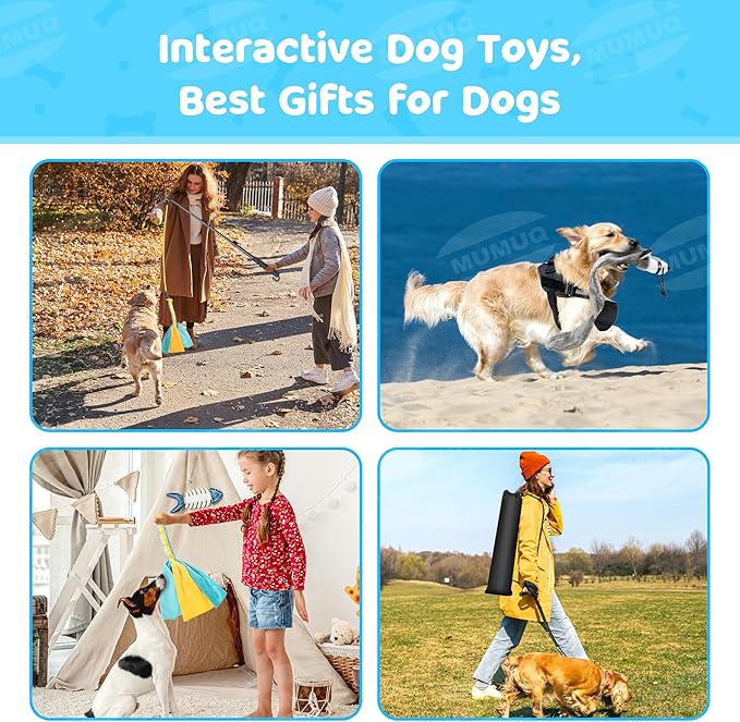 Dog Flirt Pole, Retractable Teasing Stick with Lure, Interactive Dog Toy for Outdoor Training Play Exercise, 40 Inch Flirt Stick for Small Medium Large Dogs