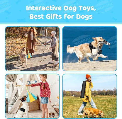 Dog Flirt Pole, Retractable Teasing Stick with Lure, Interactive Dog Toy for Outdoor Training Play Exercise, 40 Inch Flirt Stick for Small Medium Large Dogs