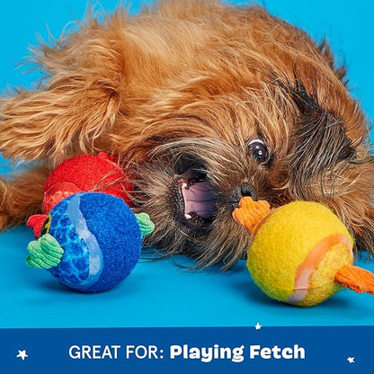 Barkbox Dog and Puppy Toy Guppies Trio of Tennis Balls for Tough Chewers, Fun Fetch and Perfect for Playful Pups, Durable, Engaging and Entertaining, Dog Toys to Keep Them Busy