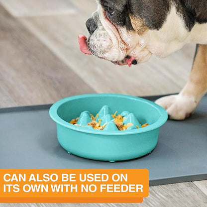 The Niner Slow Feed Bowl - Raised Peaks Slow Down Pets Eating - Fits Elevated Feeders Including Neater Feeder Large Sizes - Gentle on Teeth and Gums - Holds up to 2 Cups (Aquamarine)