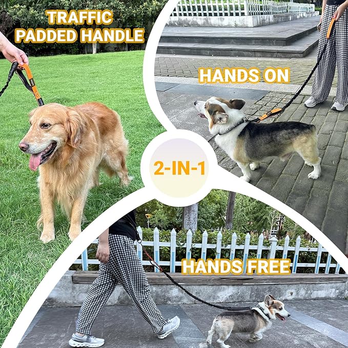 4-6 FT Hands-Free Dog Leash for Running & Walking - Adjustable Waist Belt (28-47"), Shock-Absorbing Bungee, 2 Reinforced Handles, Reflective & Anti-Pull for Small/Medium Dogs, Orange