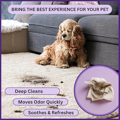 Aurora Pet Grooming Wipes – 400 Extra-Large Wipes for Dogs & Cats | Plant-Based, Hypoallergenic & All-Natural | Alcohol, Paraben & Sulfate-Free | Lavender Scent