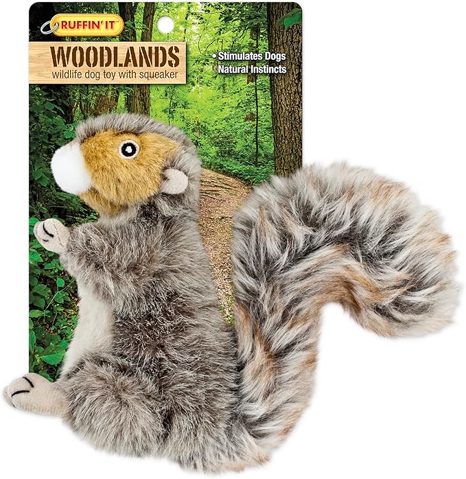 RUFFIN' IT Woodlands Plush Squirrel Dog Toy, Small