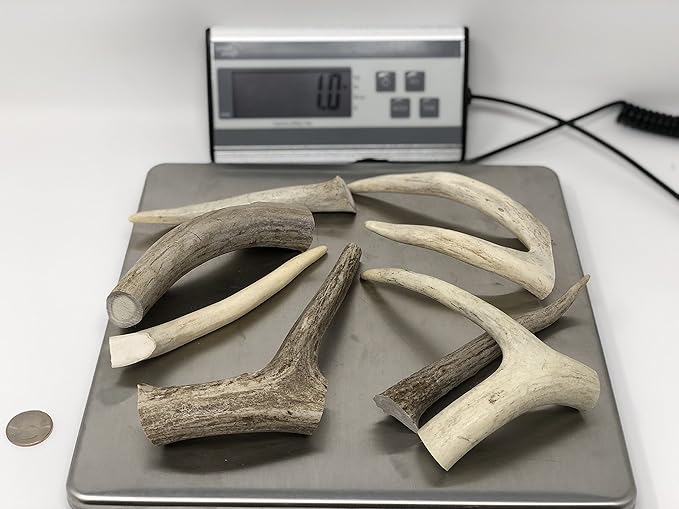 Premium Deer Antler Dog Chew Toys (1 LB Splits, Points, & Tines)