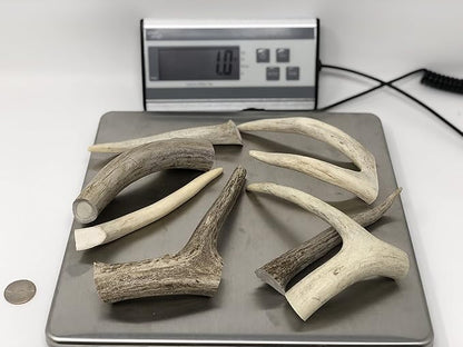 Premium Deer Antler Dog Chew Toys (1 LB Splits, Points, & Tines)
