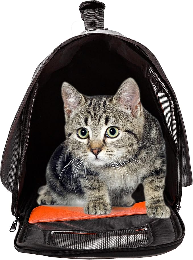 Pawer 18” x 11”x 11” Soft-Sided Foldable Airline Approved Pet Carrier for Cat, Puppy and Small Dog, Washable 600D Oxford Fabric, with Handle and Strap for Carry, Multiple Colors Available
