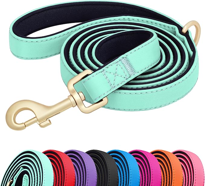 Didog 5FT Colorful Nylon Dog Leash with Soft Full-Length Padding, Lightweight and Durable Pet Leash for Medium and Large Dogs, Green, M