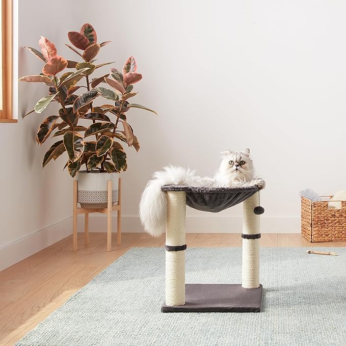 Amazon Basics Sturdy Cat Condo Tower with Hammock Bed and Scratching Posts, Interactive Hanging Ball Toy for Indoor Cats, 15.8" x 15.8" x 19.7", Gray