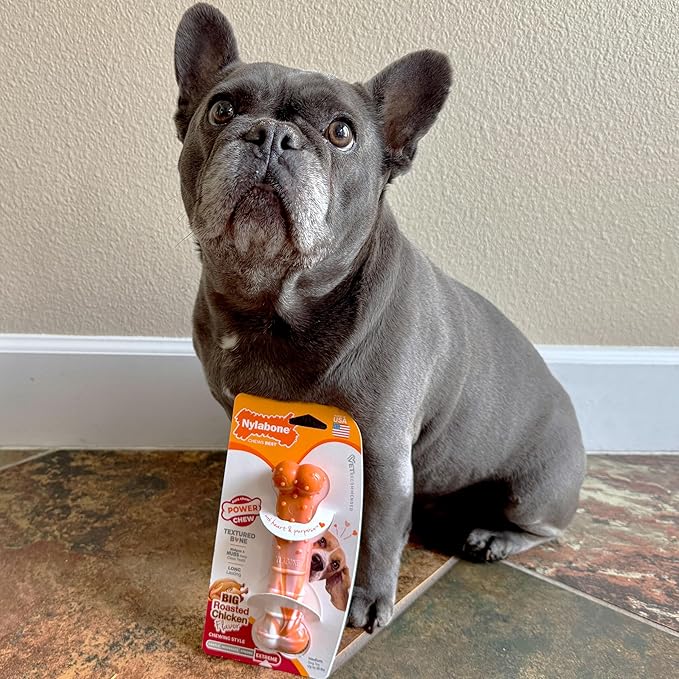 Nylabone 70th Birthday Textured Bone & Groove Bone Power Chew Toys for Dogs, Tough Dog Toys for Aggressive Chewers, Chicken & Peanut Butter Flavor, Small Dogs - Up to 25 lbs, 2 Pack