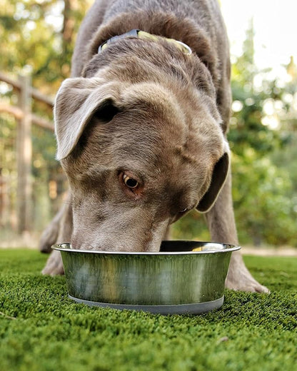 2.5 lb Weighted Dog Bowl - No Slip, No Tip - Heavy Stainless Steel Dog Bowl with Silicone Rubber Foot