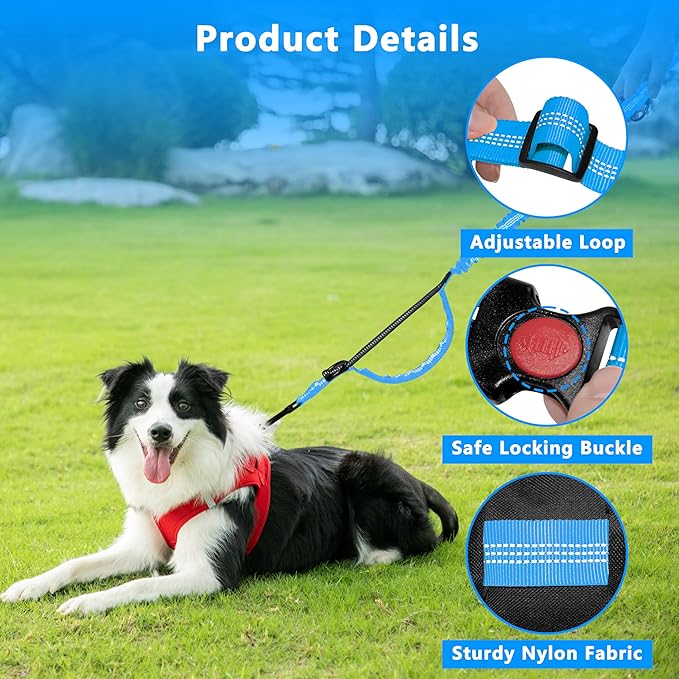 Hands Free Dog Leash with Zipper Pouch, Running Waist Leash for Dog Walking, Adjustable Waist Belt for Large Dogs, Reflective Bungee Design with Two Handle for Hiking, Training, Sky Blue