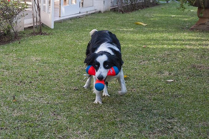 Triangular Fetch & Tug Dog Toy by Chuckit!