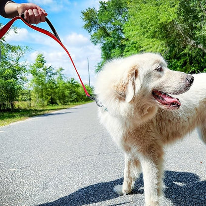 Joytale Dog Leash Heavy Duty for Large Dogs that Pull, Double Handle for Traffic Control, Double-Sided Reflective Leashes for Large Medium Dogs Night Safety, 6FT, Red